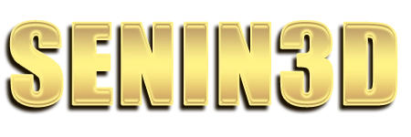 Logo SENIN3D